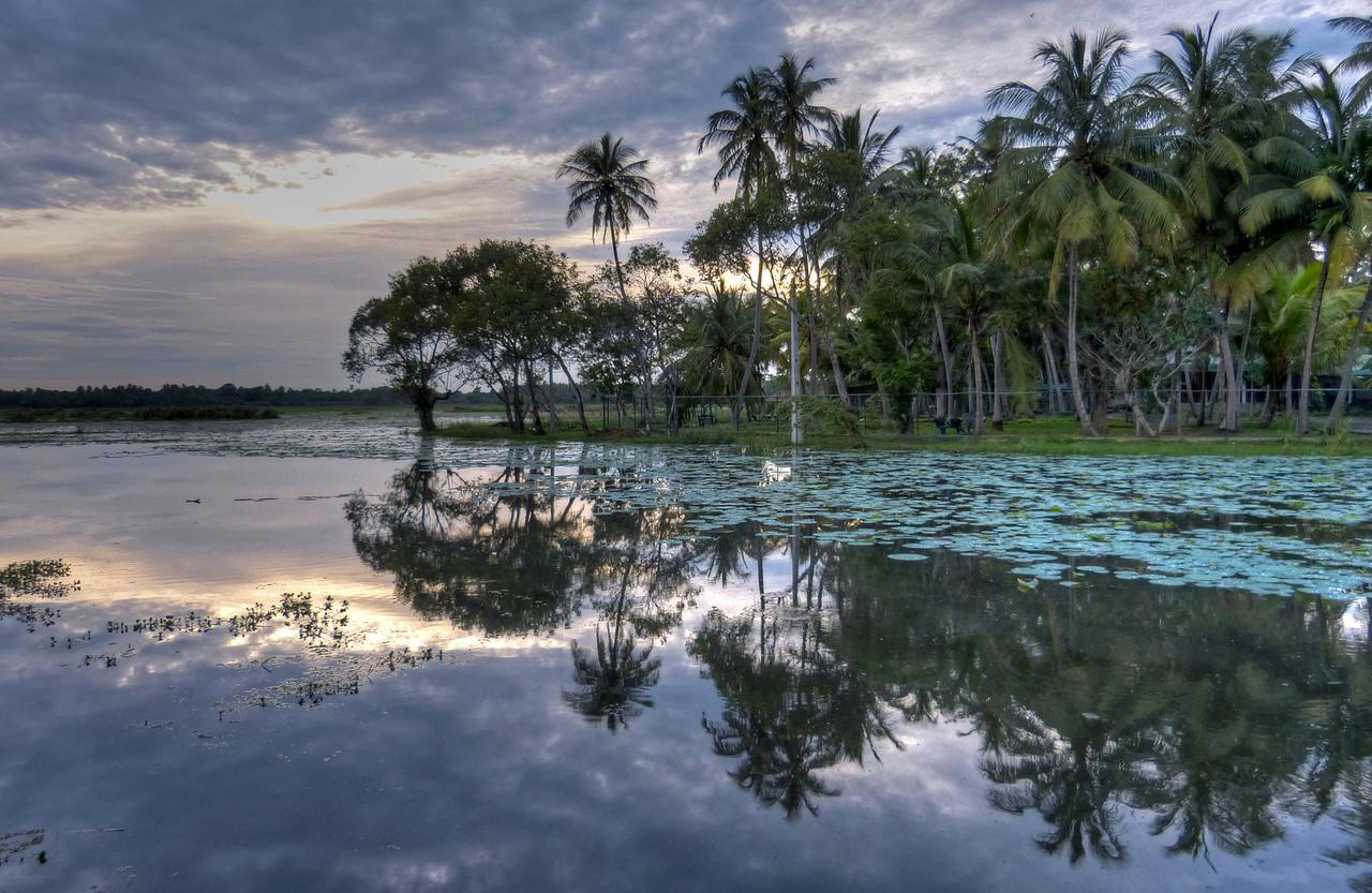 Hotel Rain Tree By Oak Ray Tissamaharama Exterior foto